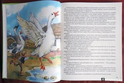 Дикой краткое содержание