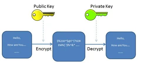 Begin public key