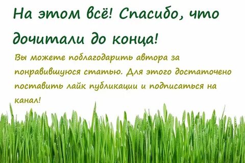 Green grass me