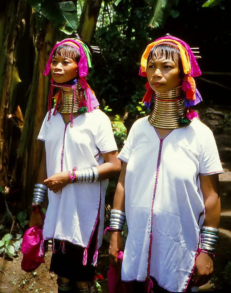 Длинная шея признак. Племя Падаунг. Падаунг (Кайян). Женщины Жирафы племени Падаунг.