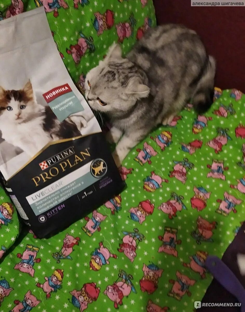 Корм purina pro plan liveclear. Purina Pro Plan liveclear 2020.