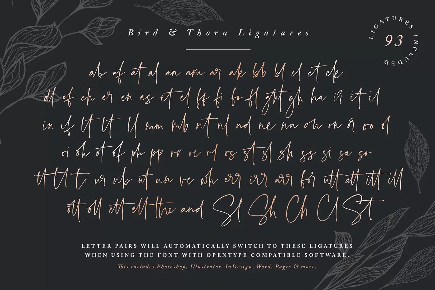 Bird font