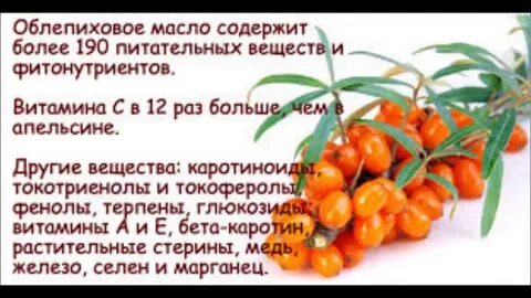 Вред облепихи для организма человека какая
