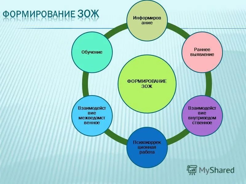 Центры формирования здорового образа жизни. Центры формирования здорового образа жизни