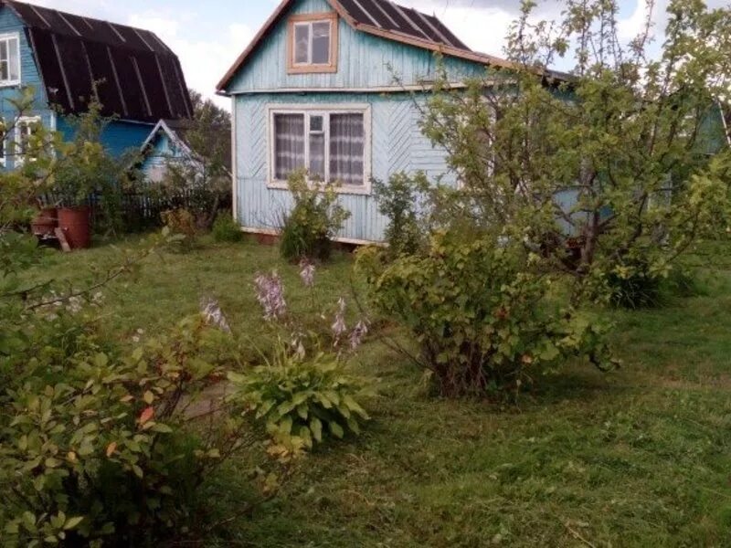 снт орехово-майское орехово-зуево. дачи в орехово зуево. дачи в орехово зуево. орехово зуево дача снт текстильщик 6. 4 дачи орехово зуево.