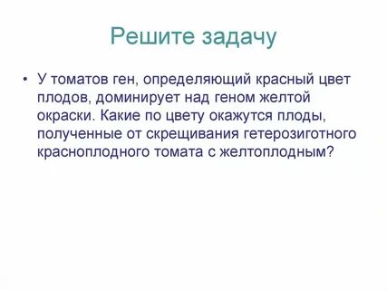 У томатов круглая форма плодов доминирует