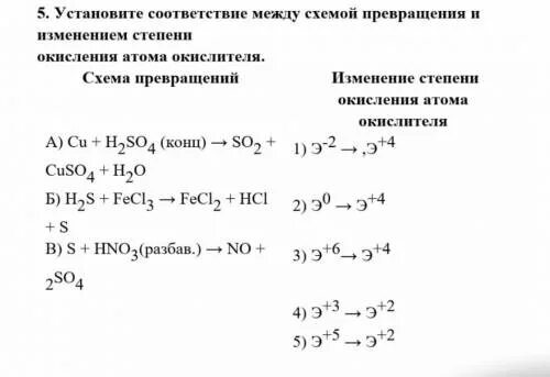 Установите соответствие между 