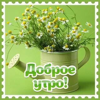 С добрым утром картинки с полевыми