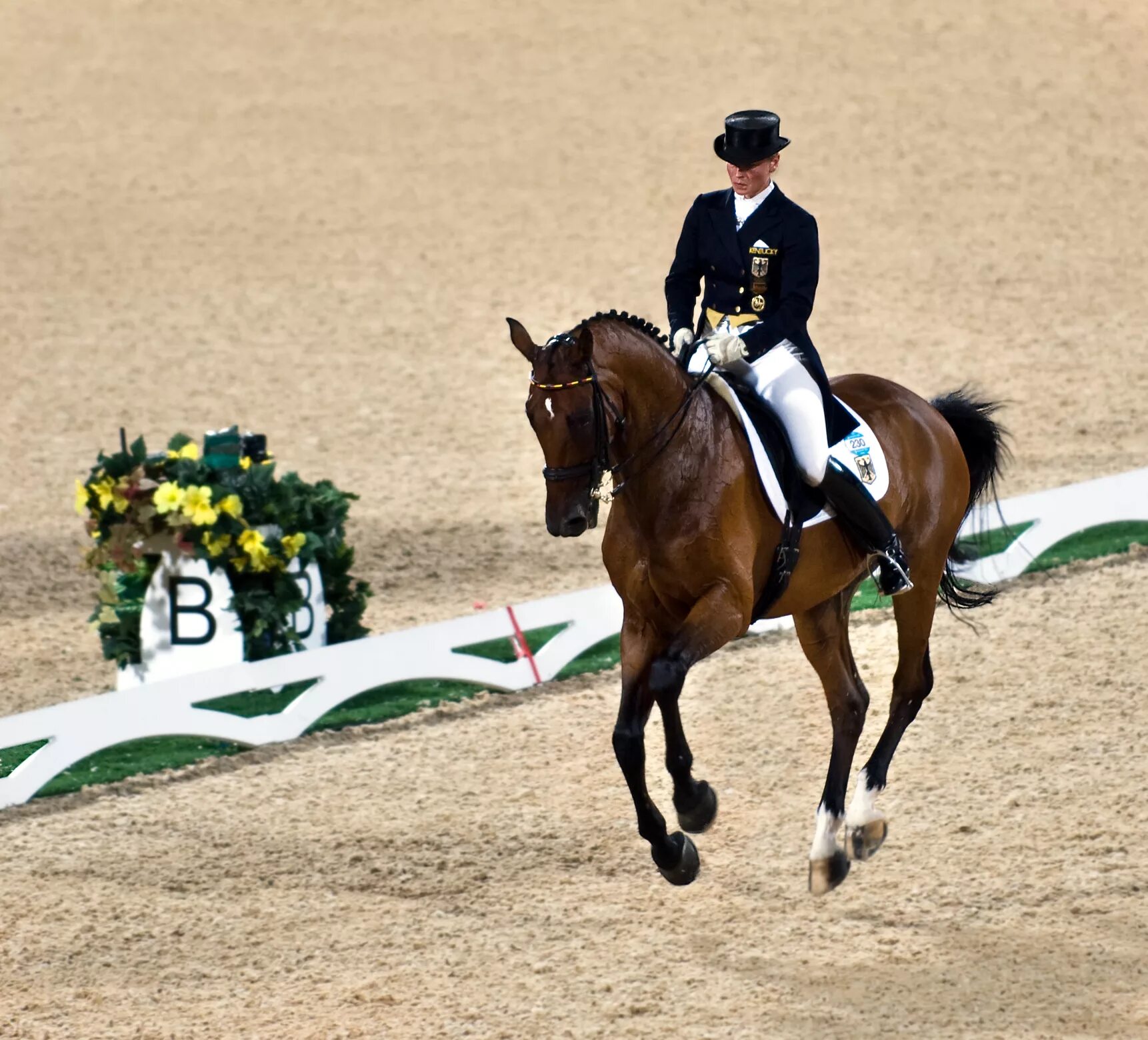 Horse sport. Конкур выездка троеборье. Выездка конный спорт. Конный спорт соревнования выездка. Конный спорт Олимпийский вид спорта выездка.