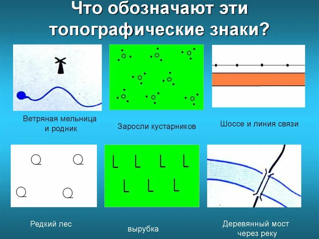 Топографический знак заросли кустарника. Топографические знакики. Кустарник на плане местности. Условные знаки плана местности. Как обозначается родник