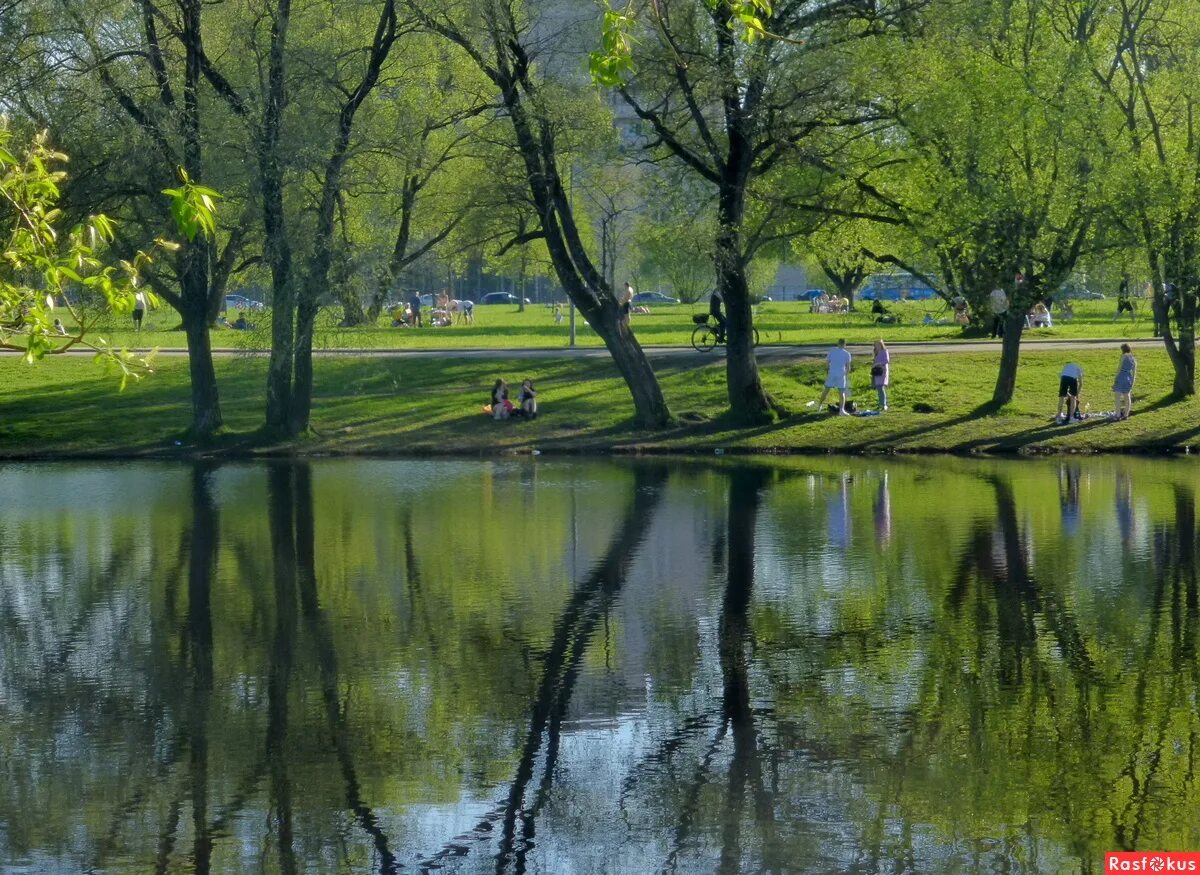 Free Images : landscape, tree, nature, leaf, flower, lake, river, pond, reflecti