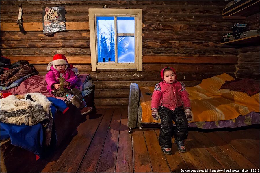 Живем в тайге 2. Жизнь в тайге. люди живущие в тайге. жить в тайге. тайга для детей.