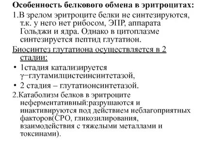 Как называется белок в эритроцитах