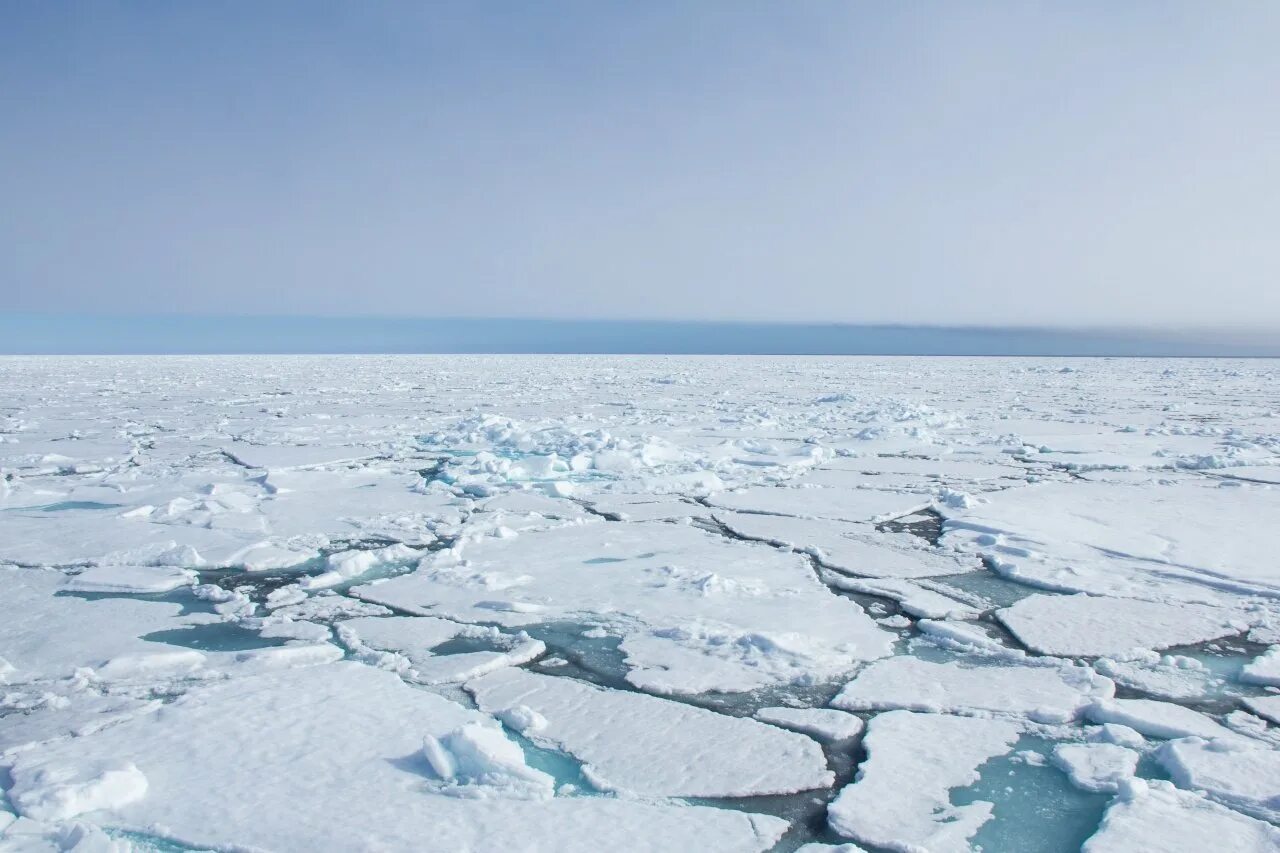 Арктика Баренцево море. Баренцево море льды. Льды Северного Ледовитого океана. Арктические льды. Ледовитый океан пресный