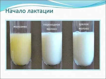 Как понять что пришло молоко