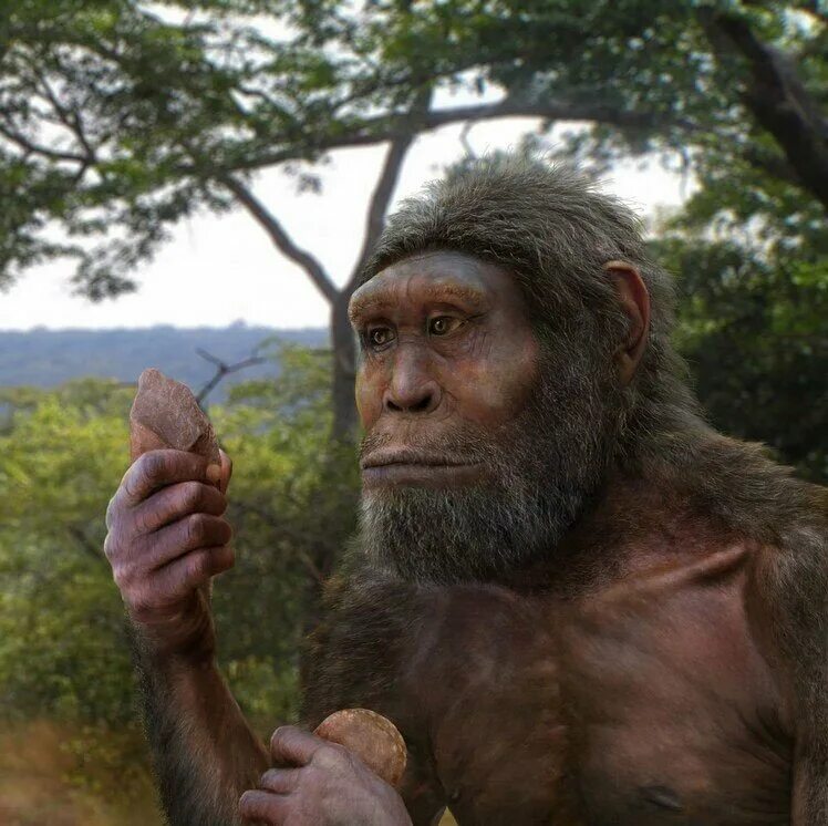 Что случилось с хомо. Неандерталец (homo neanderthalensis). Речь неандертальцев. Неандерталец хомосапиенс. Что случилось с хомо.