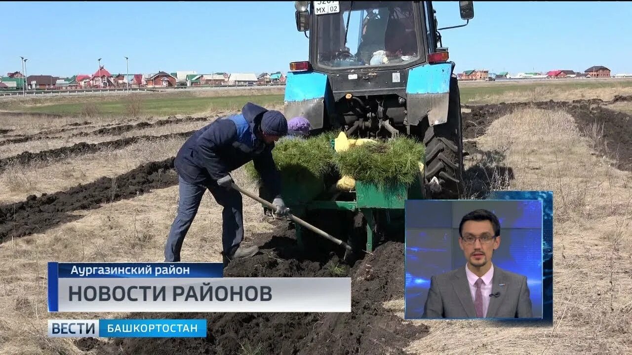Толбазы погода сегодня