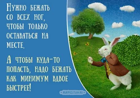 Вы как минимум не будете