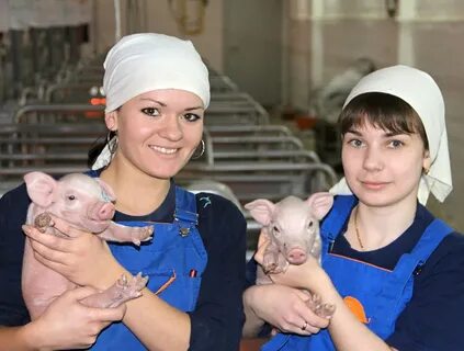 Мираторг ветеринар