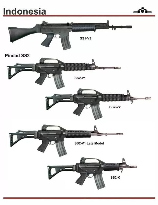 Сс 2 8. Ss2 v5 Carbine. Pindad ss2. Штурмовая винтовка Pindad ss2000. Pindad SS-2000.