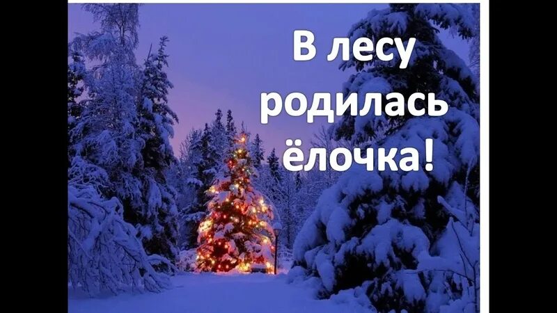 Музыка лесу родилась. В лесу родилась ёлочка. В лесу растлилась елочка. В лесу родилась ёлочка песня. Песенка в лесу родилась елочка.