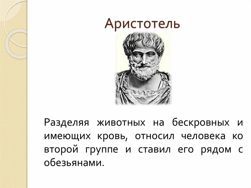 Гипотеза аристотеля. Аристотель о происхождении человека. Аристотель представление о происхождении человека. Аристотель годы жизни представления о происхождении человека. Теория Аристотеля о происхождении человека.