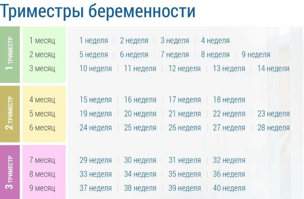 36 неделя беременности какой. Триместры беременности. Триместры беременности по неделям. Триместры беременности по месяцам. Недели беременности по месеца.