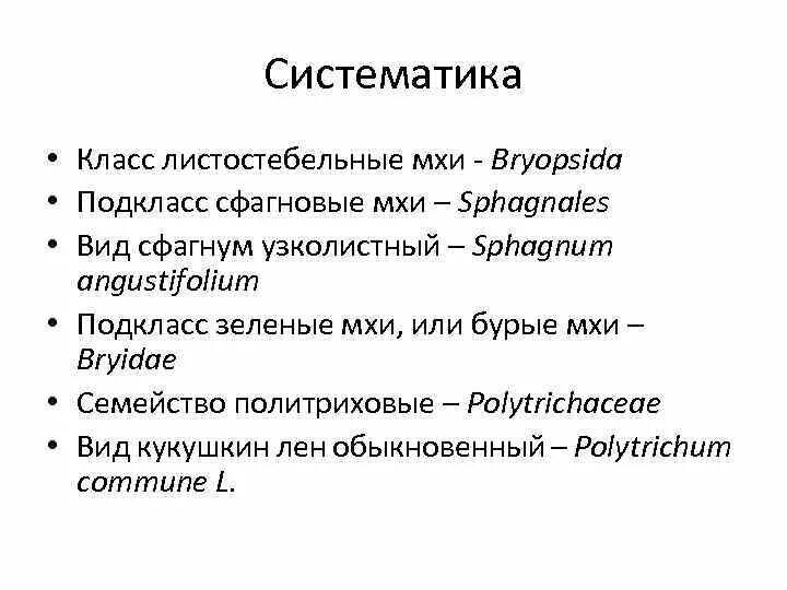 Систематика мхов. Систематика моховидных. Систематика моховидных. Систематика мхов схема. Систематика мхов схема.