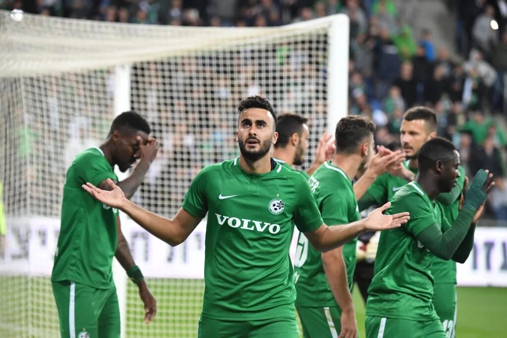 Маккаби клуб. Maccabi haifa. маккаби (футбольный клуб, тель-авив). фк хайфа. maccabi haifa fc logo.