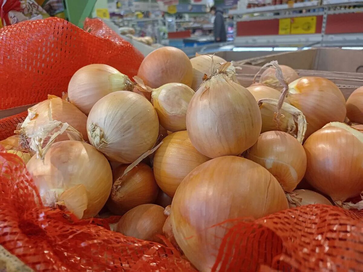 Лук репчатый форвард. Лук семена. Лук недели. Лук севок зеленый. Лук недели.