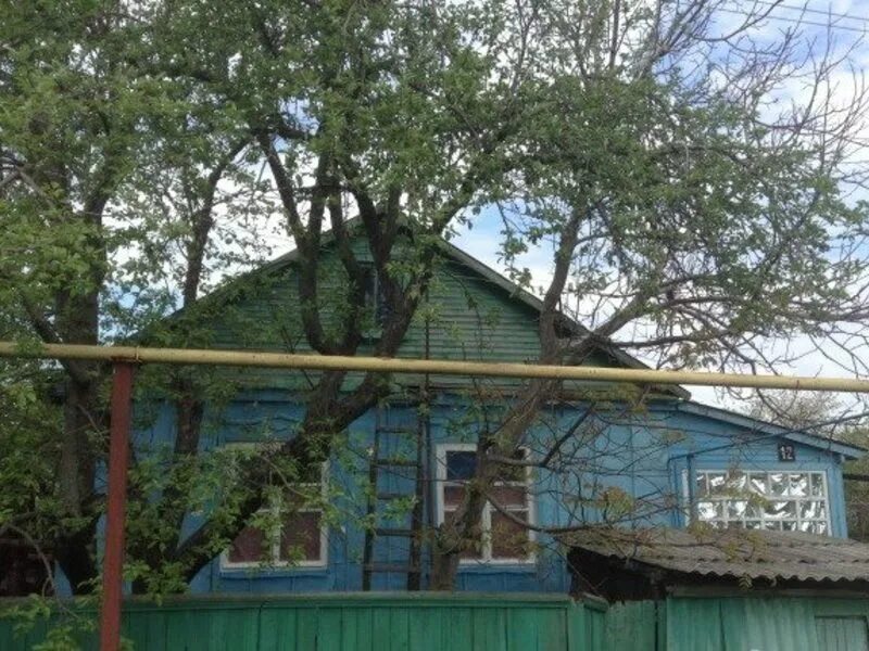 Авито митрофановка воронежская. Поселок митрофановка воронежская область. Авито митрофановка воронежская. Авито митрофановка воронежская. Митрофановка ул садовая дом 9.
