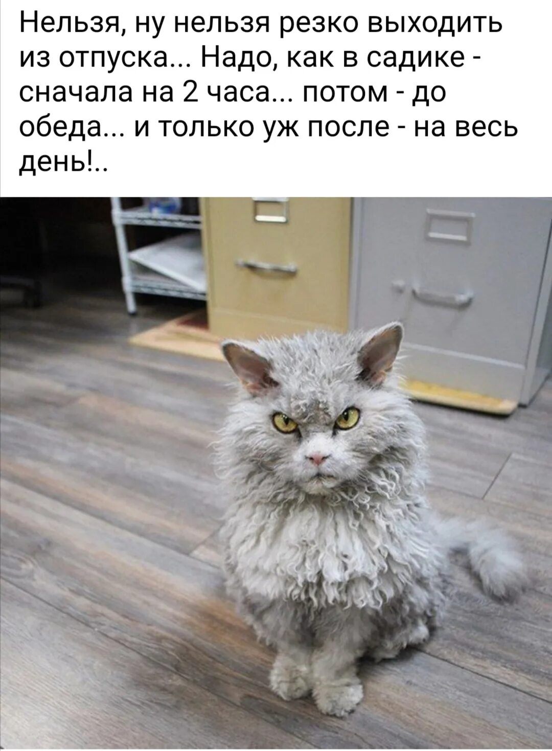 Выходишь после отпуска. Вышла на работу после отпуска. нельзя резко выходить из отпуска. нельзя резко выходить на работу после отпуска. когда вышел на работу после отпуска.