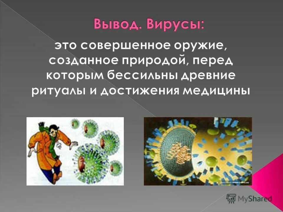 Вирусы проект по биологии 9 класс Вирусы биология 9 класс