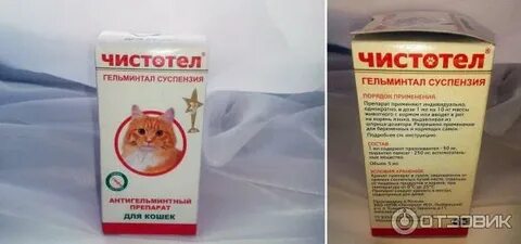 Антигистаминные препараты для кошек от зуда