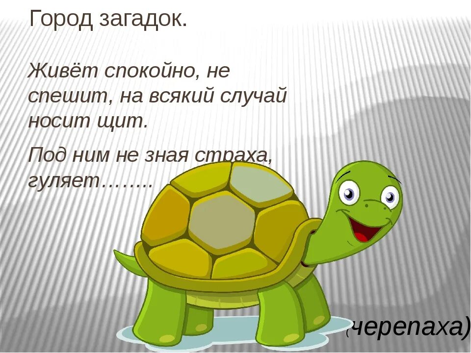 Стих про черепаху. Загадка про черепаху. Загадка про черепашку. Загадки про черепах. Загадка про черепаху для детей.