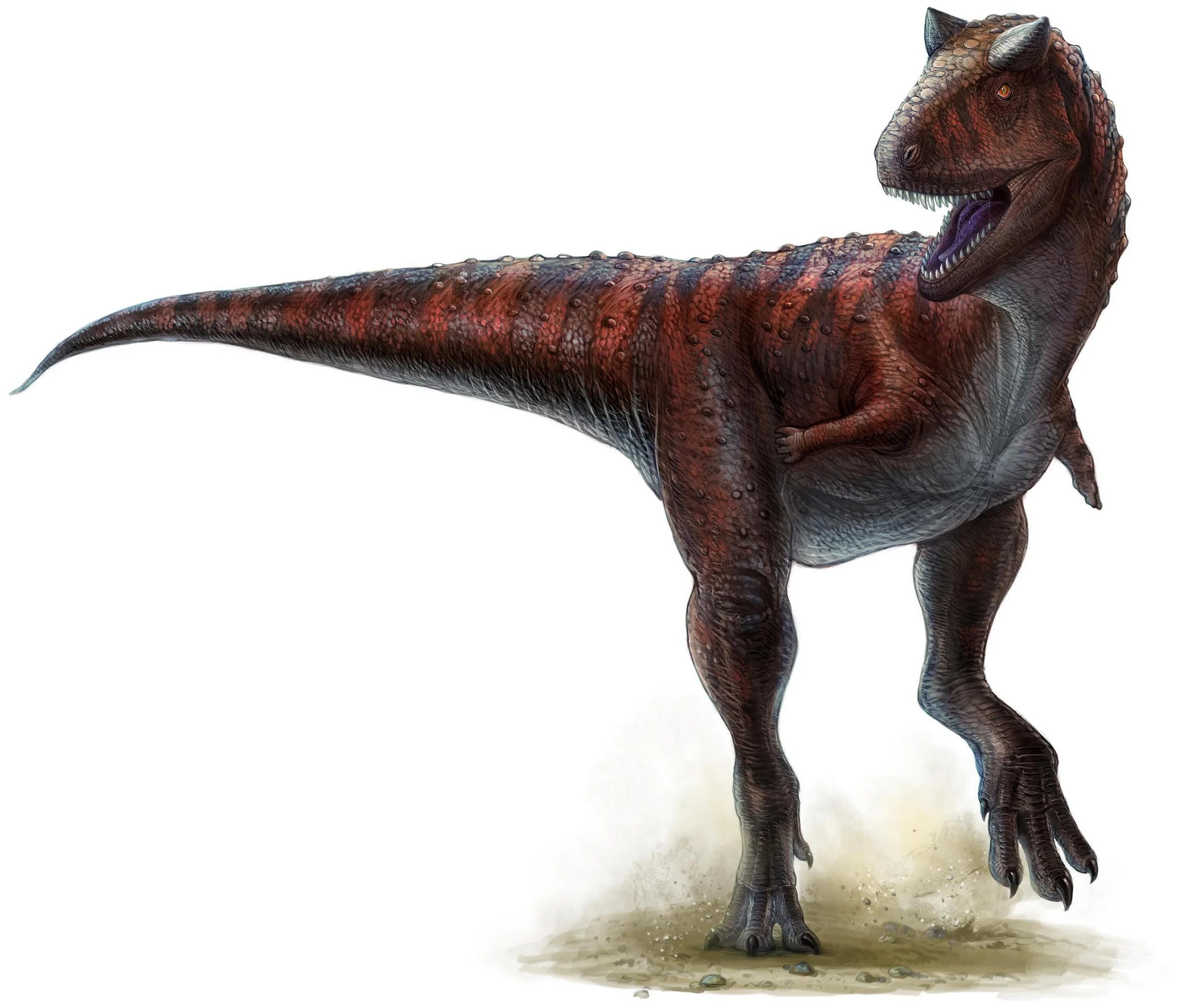Карнозавр рекс. Тираннозавр и Карнотавр. Карнотавр мир Юрского периода 2. Карнотавр динозавр. Динозавр с рогом на голове