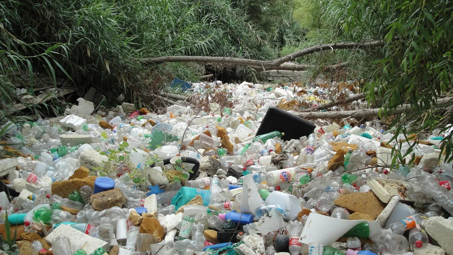 Пластиковые отходы в природе. Воздействие человека на природу. Негативное влияние человека на природу. Плохое влияние на природу. Влияние пластиков на окружающую среду
