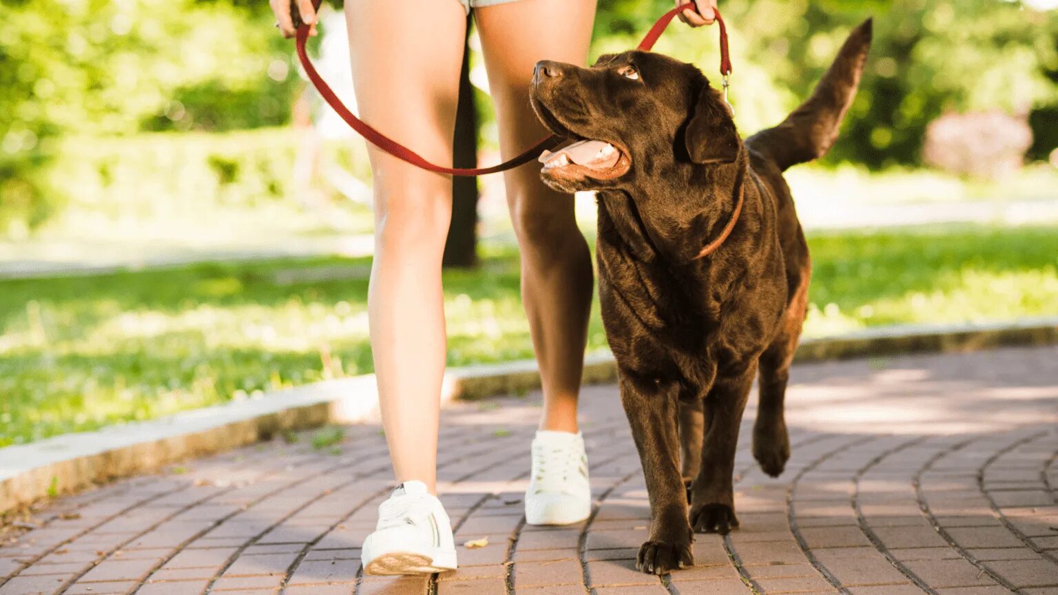 How was your walk