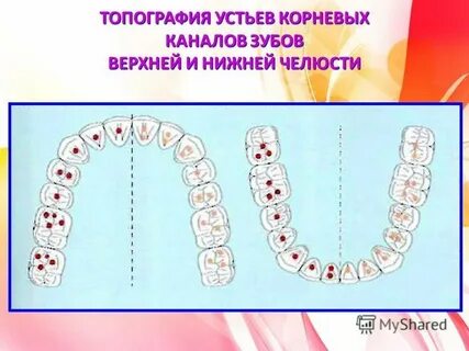 Сколько каналов в 5