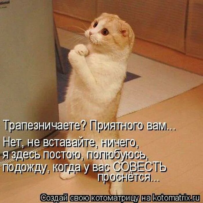 Помоги запустить