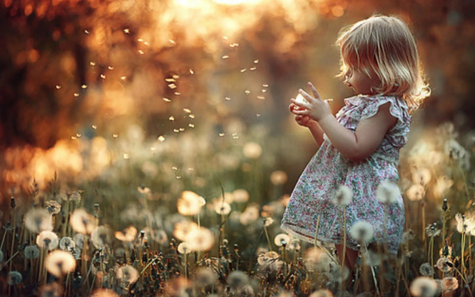 Жизнь прекрасна еще и потому что человек. Девочка с одуванчиком. Маленькие радости жизни.