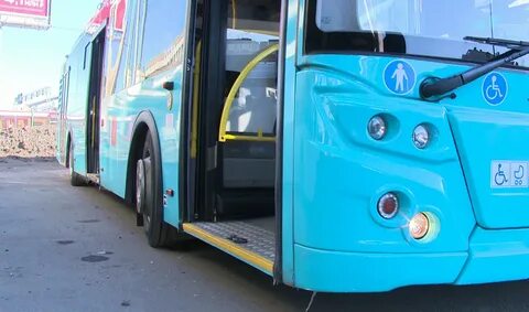 388 автобус спб