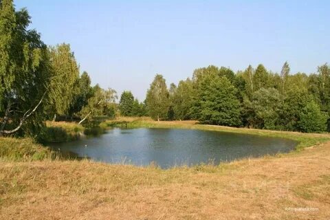 Арманиха нижегородская область дальнеконстантиновский