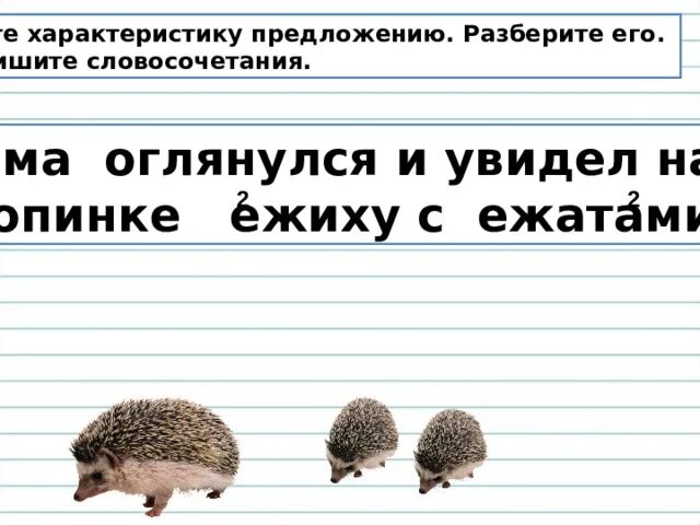 Еж пробежал 2 3 4