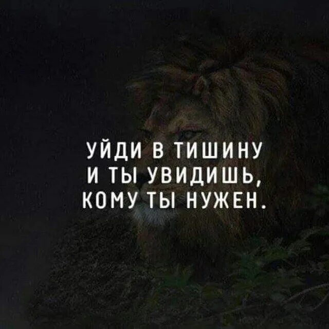 Тишина и мимо темных домов