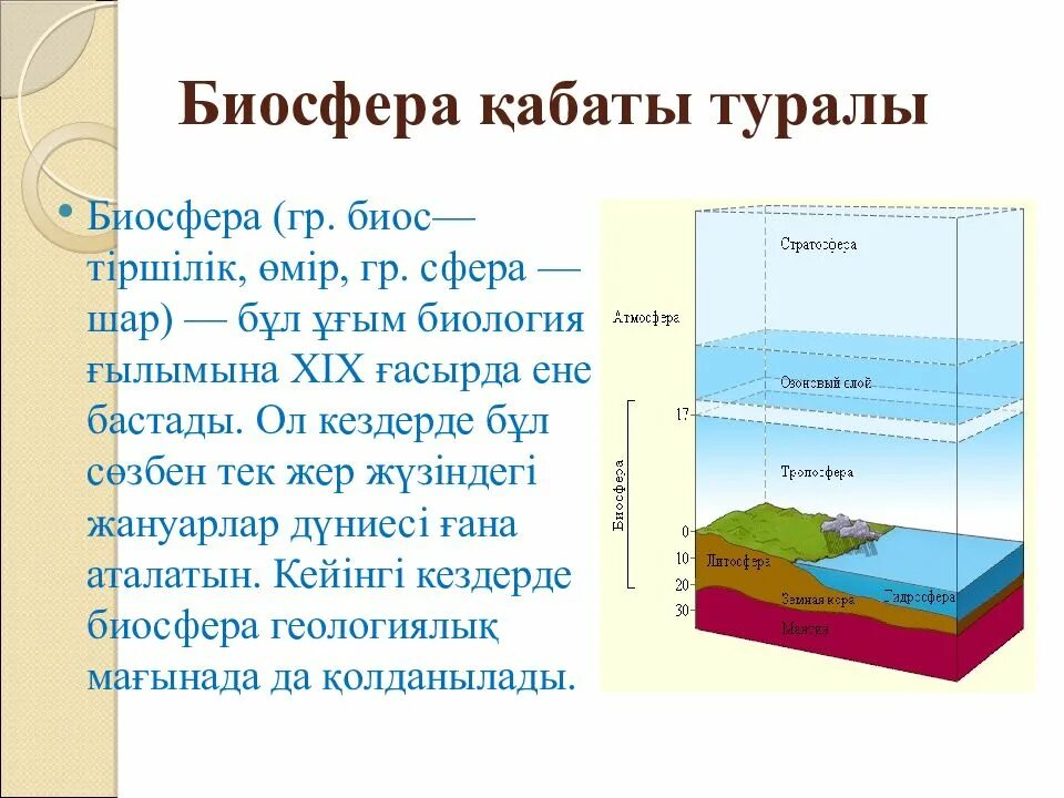 Какие оболочки охватывает биосфера. Биосфера границы биосферы среды. границы биосферы схема. границы биосферы презентация. границы распространения биосферы.