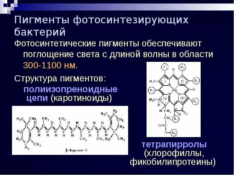 Системы защиты бактерий