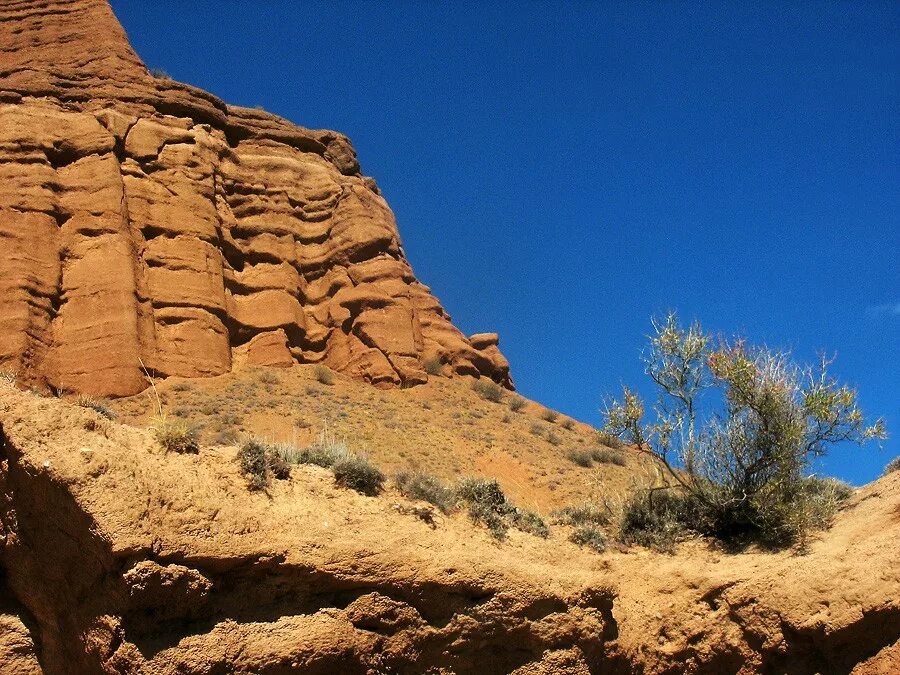 эолова форма рельефа 6 букв