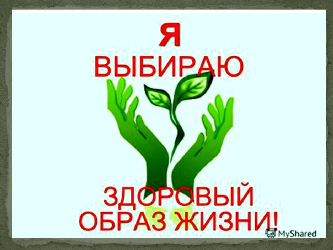 Бережное отношение к своему здоровью. Я выбираю жизнь. Лозунги ЗОЖ. Призыв к здоровому образу жизни. Мы за ЗОЖ.