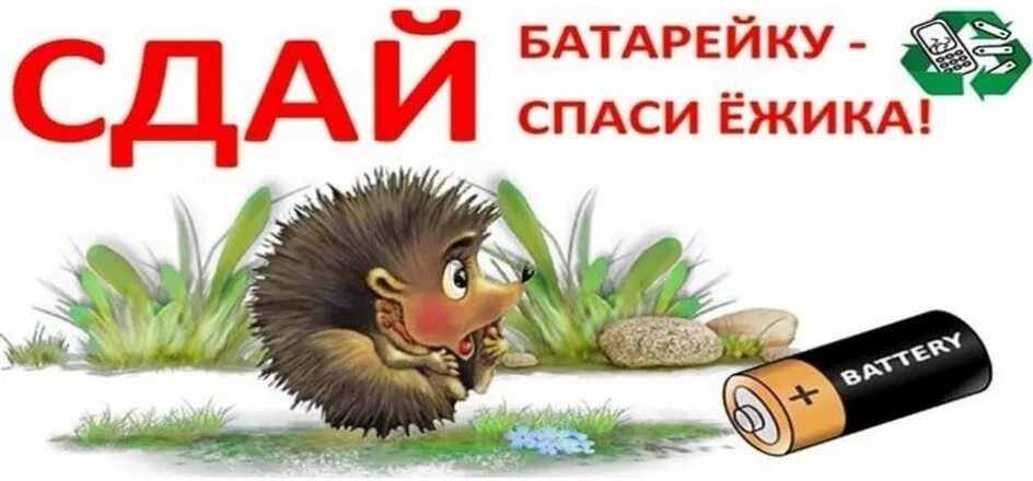Акция собери батарейки спаси ежика. Сдай батарейку спаси ежа. Сбор батареек спаси ежика. Акция сдай батарейку спаси ежика. Сдал батарейку спас ежика.